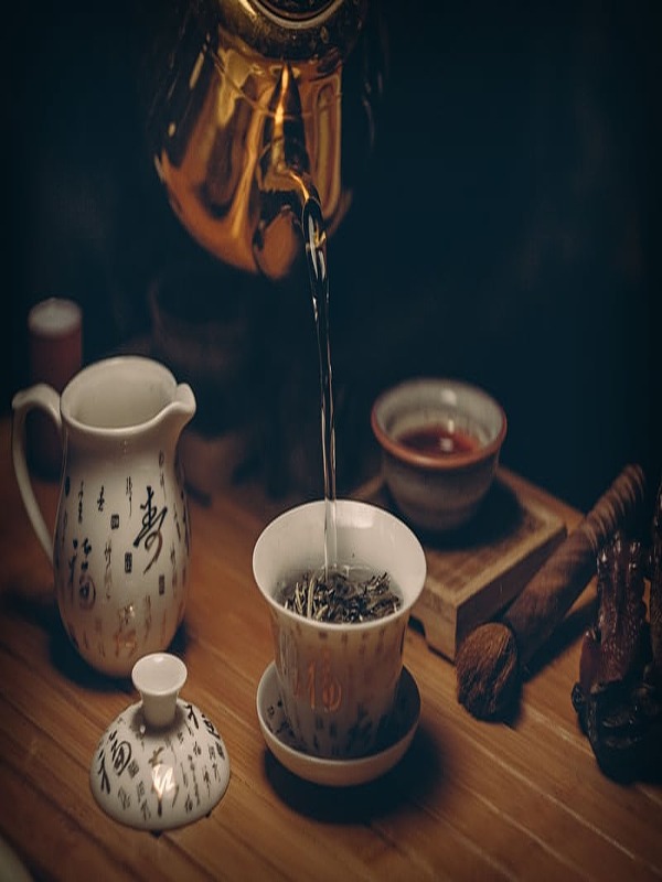 Bìa truyện Tra Thú Hoàn Lương Ký