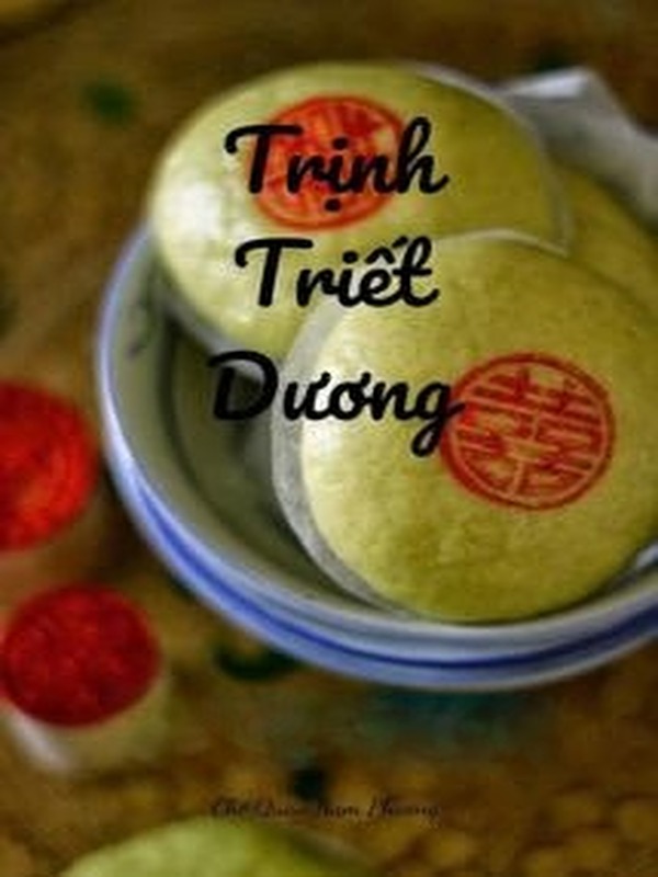 Bìa truyện Thịnh Triết Dương - Cố Quy
