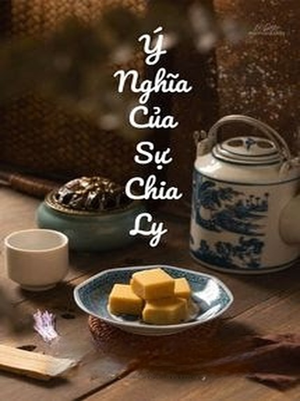 Bìa truyện Ý Nghĩa Của Sự Chia Ly