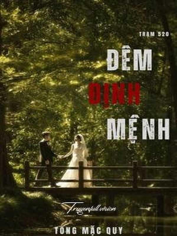 Bìa truyện Đêm Định Mệnh - Tống Mặc Quy