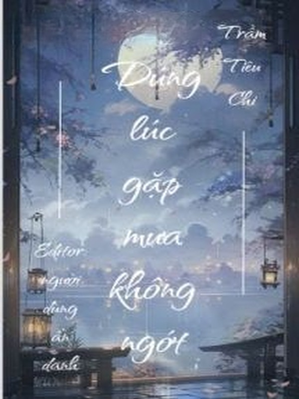 Bìa truyện Đúng Lúc Gặp Mưa Không Ngớt - Trầm Tiêu Chi