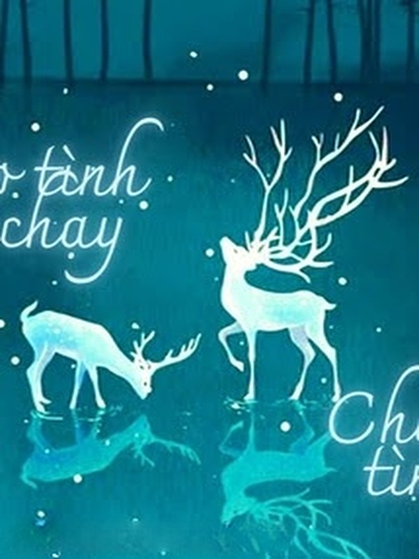 Bìa truyện Theo Tình Tình Chạy, Chạy Tình Tình Theo