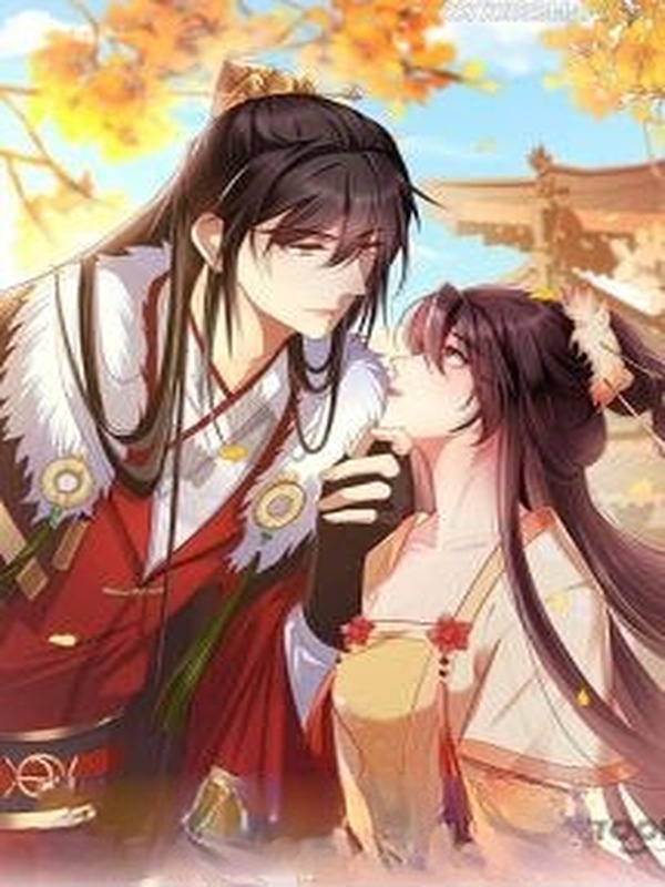 Bìa truyện Sủng Phi Của Hoàng Đế