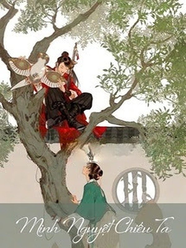 Bìa truyện Minh Nguyệt Chiếu Ta - Ô Hợp Chi Yến