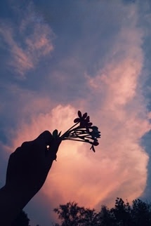 Bìa truyện Vô Thanh Thoái Tràng