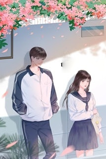 Bìa truyện Lời Tỏ Tình Từ Băng Vệ Sinh