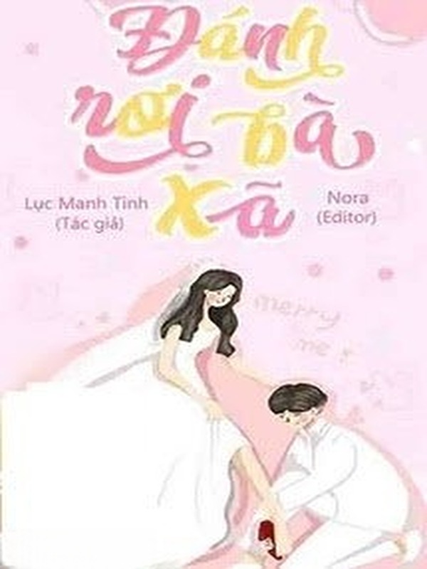 Bìa truyện Đánh Rơi Bà Xã