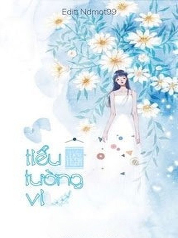 Bìa truyện Tiểu Tường Vi
