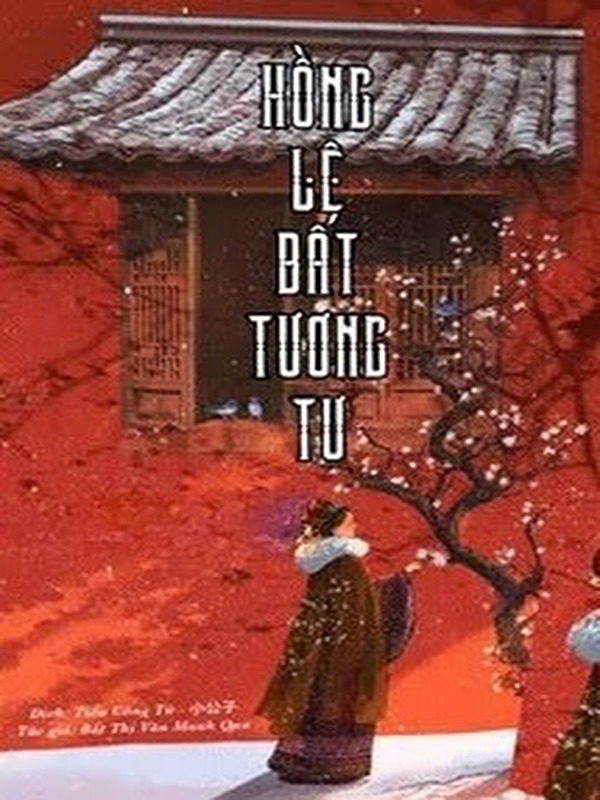 Bìa truyện Hồng Lệ Bất Tương Tư