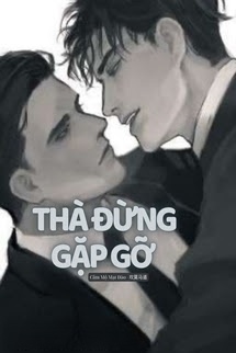 Bìa truyện Thà Đừng Gặp Gỡ (Đam Mỹ)