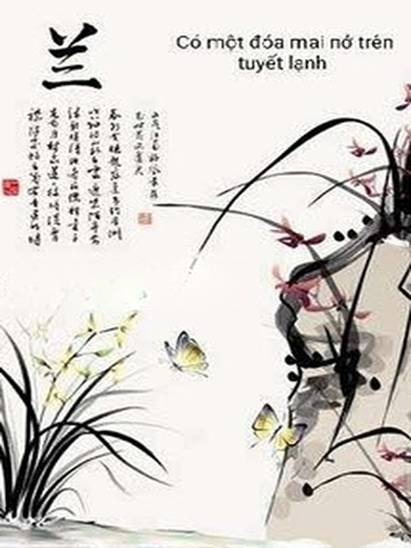 Bìa truyện Đời Hết Tươi Khi Vắng Bóng Người