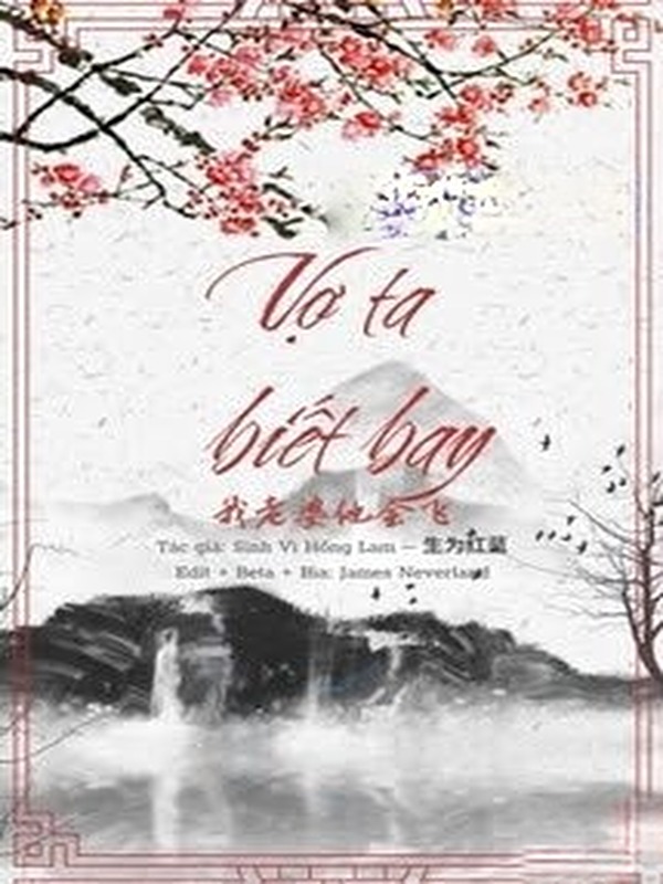 Bìa truyện Vợ Ta Biết Bay