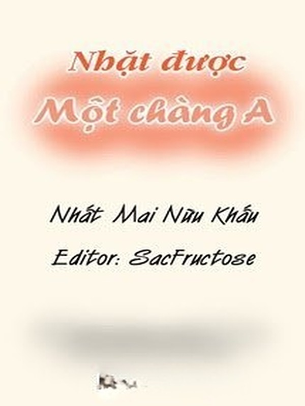 Bìa truyện Nhặt Được Một Chàng A