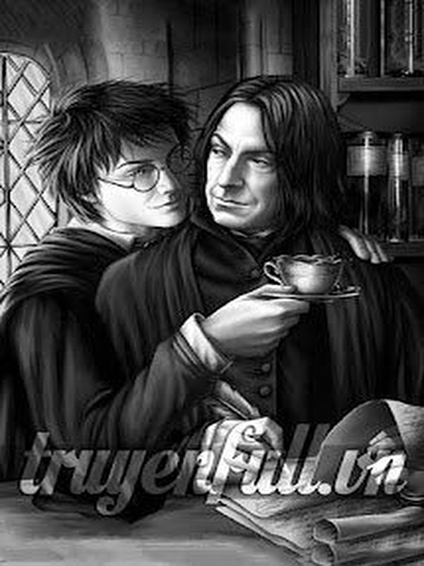 Bìa truyện Bảo Hộ Harry Potter Đồng Nhân
