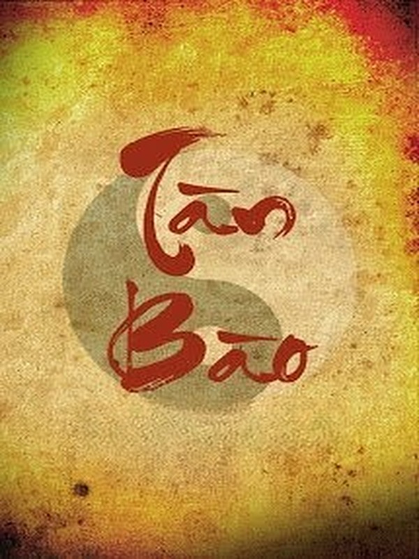 Bìa truyện Tàn Bào