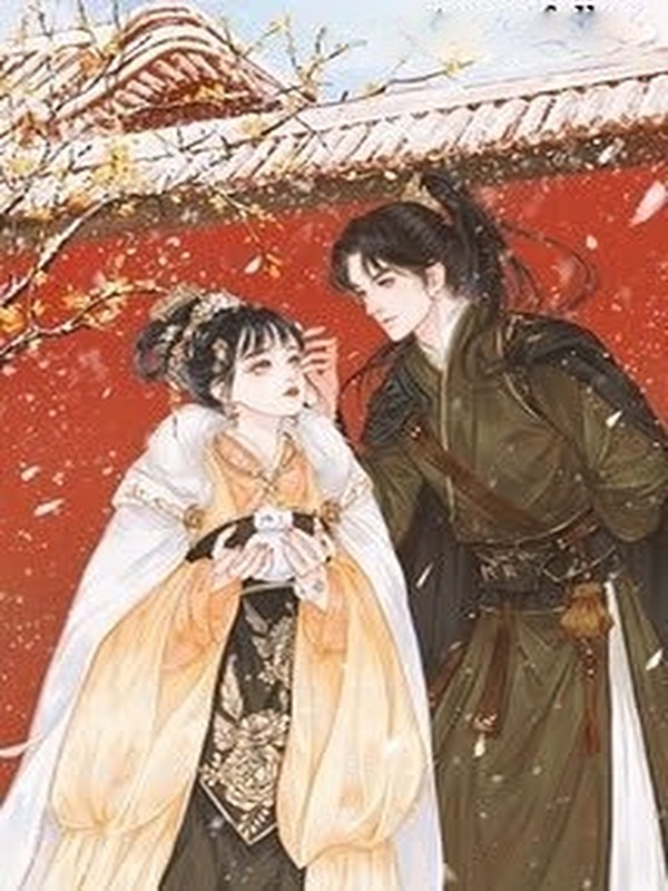 Bìa truyện Lãnh Vương Phi