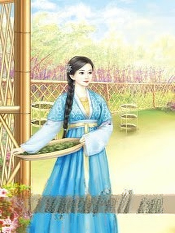 Bìa truyện Nông Gia Tuyệt Sắc Hiền Thê