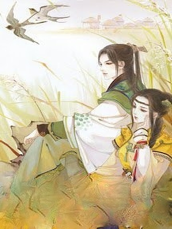 Bìa truyện Song Đôi Kỳ Tài