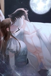 Bìa truyện Kiếp Này Chỉ Nguyện Bên Người