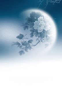 Bìa truyện Hàng Ngày Nuông Chiều Ánh Trăng Sáng