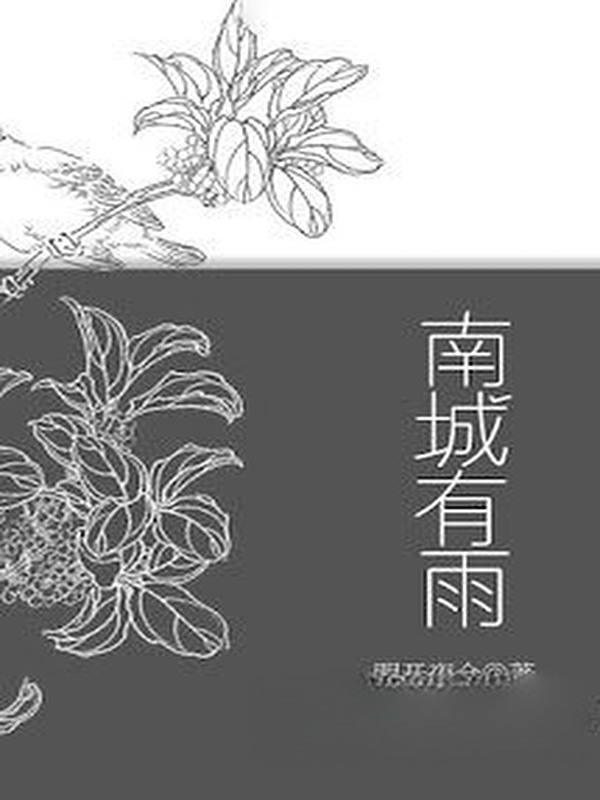Bìa truyện Nam Thành Có Mưa