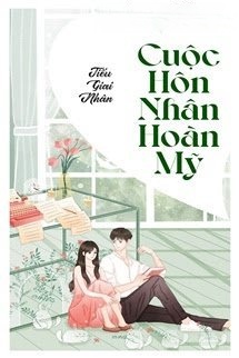 Bìa truyện Cuộc Hôn Nhân Hoàn Mỹ - Tiếu Giai Nhân
