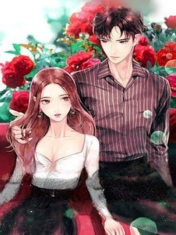 Bìa truyện Cô Nàng Minh Tinh Là Fan Bà Xã