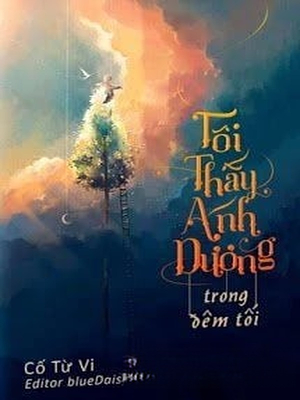 Bìa truyện Tôi Thấy Ánh Dương Trong Đêm Tối