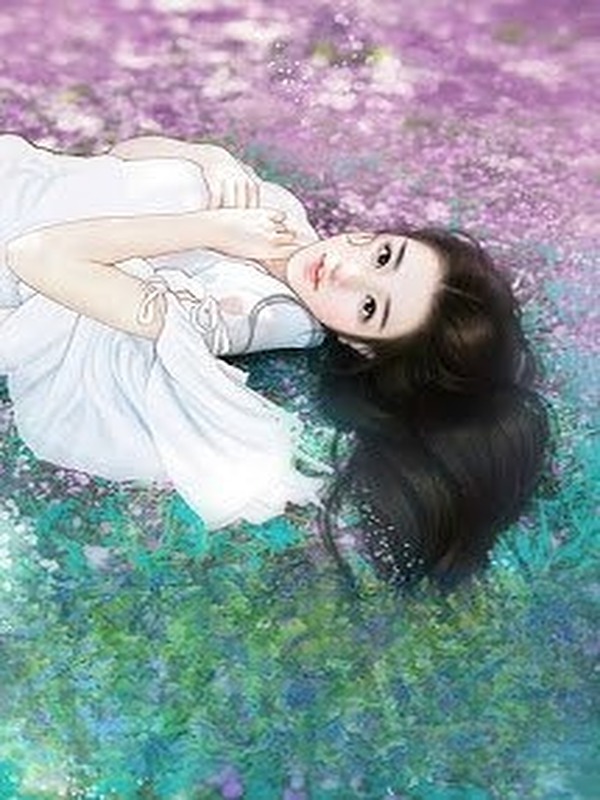 Bìa truyện Tỳ Nữ Vương Phi