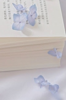 Bìa truyện Người Phán Xử