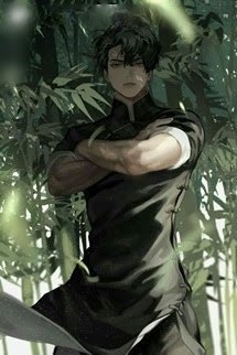 Bìa truyện Truyền Nhân Thiên Y