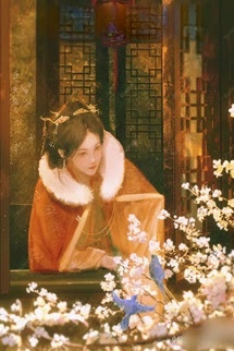 Bìa truyện Tuế Tuế An