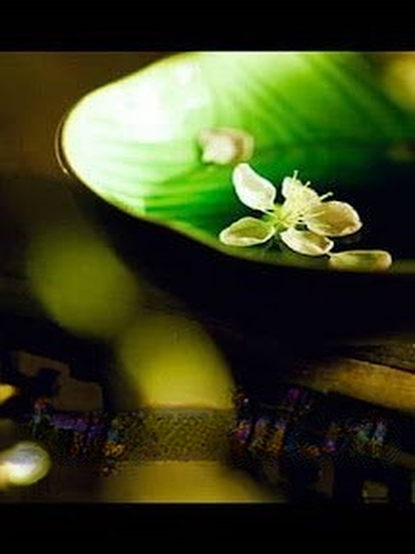 Bìa truyện Dư Vị Trà Tâm