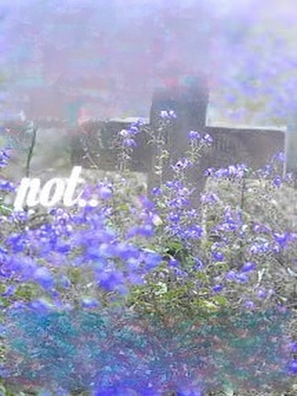 Bìa truyện Forget Me Not