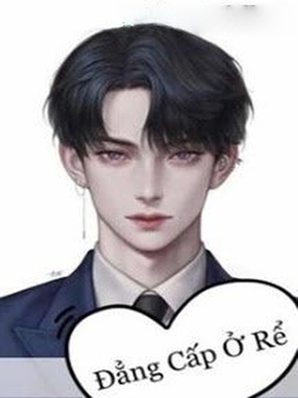 Bìa truyện Đẳng Cấp Ở Rể