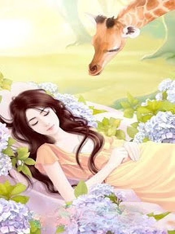 Bìa truyện Hoa Phi Hoa Vụ Phi Vụ Ôn Nhu Nhược Thủy