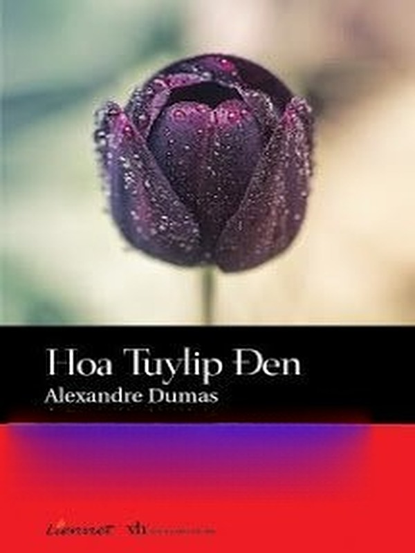 Bìa truyện Hoa Tulip Đen
