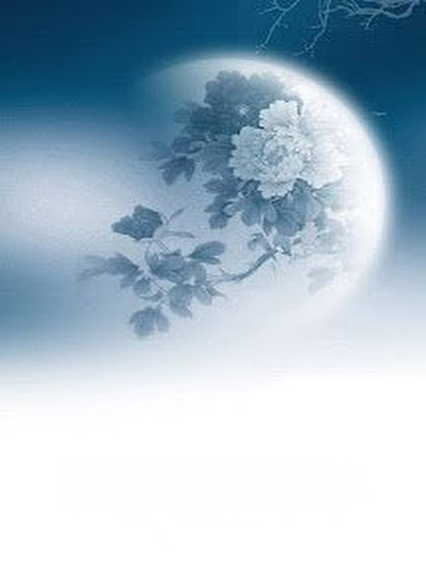 Bìa truyện My MoonLight