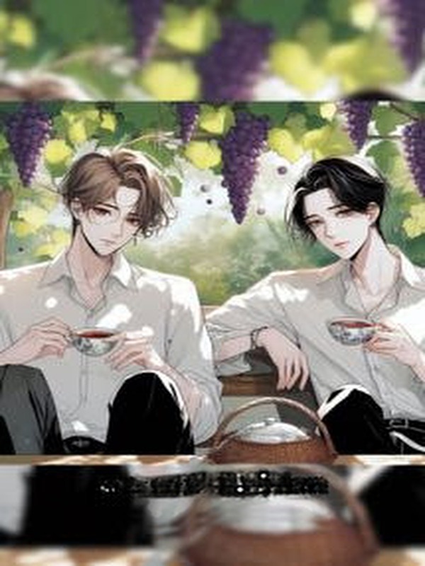 Bìa truyện Tặc Thước - Tây Lộc Hoàn