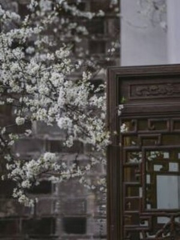 Bìa truyện Nhất Tiễn Mai - Hỗn Độn