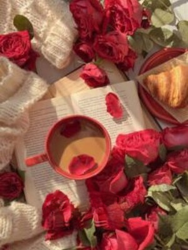 Bìa truyện Hoa Hồng Và Bẫy Thiên Thần - Tiểu Thanh Sơn Cấn