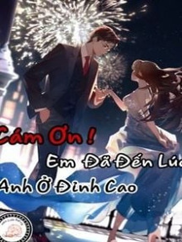 Bìa truyện Cám Ơn, Em Đã Đến Lúc Anh Ở Đỉnh Cao
